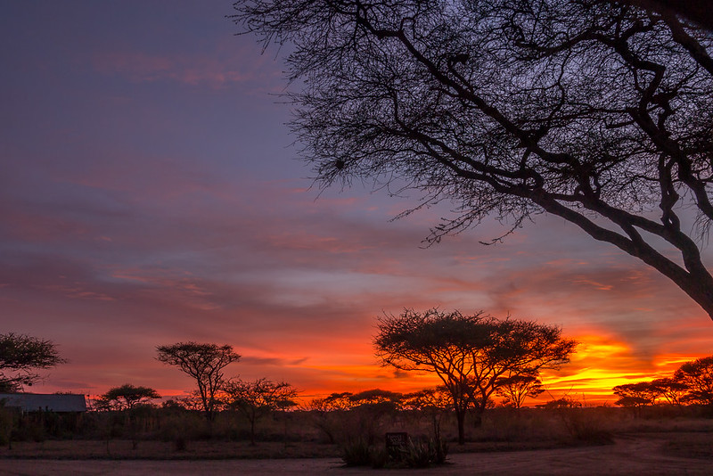 booking safari tanzania